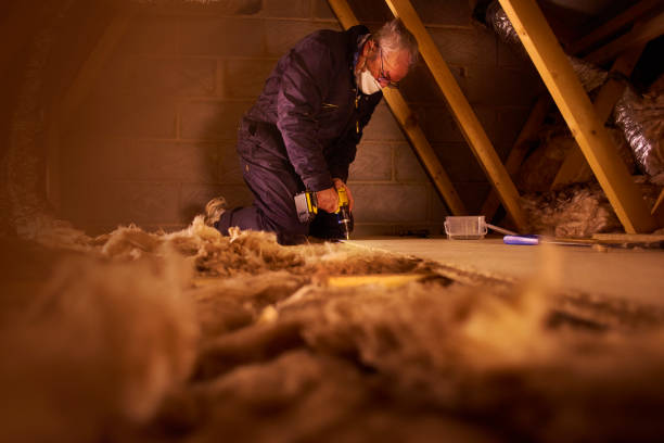 Best Insulation Maintenance and Repair in Brownsboro, TX
